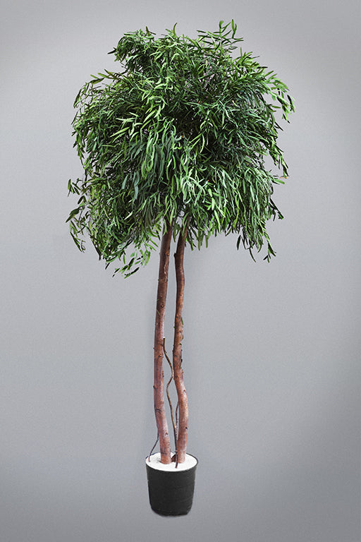 Elegância atemporal