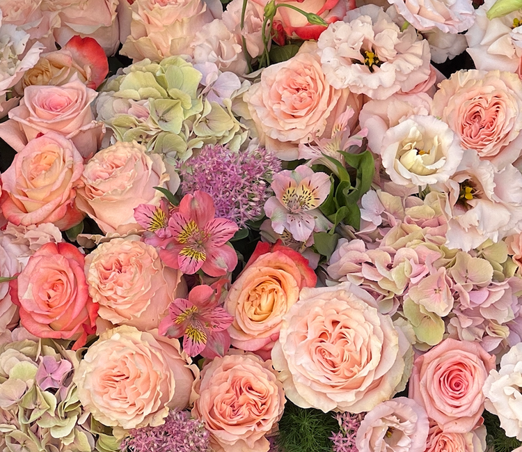 Florist Choice