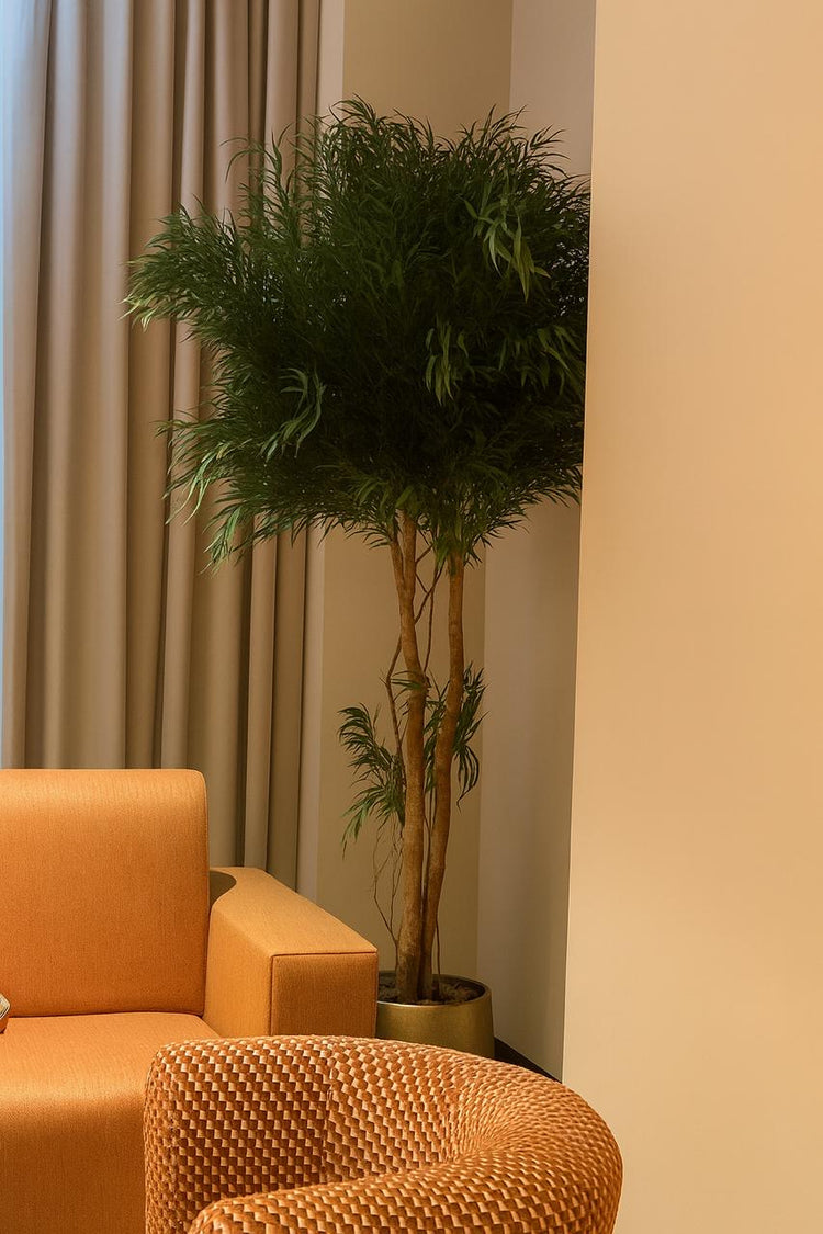 Albero stabilizzato Crown Planter con chioma verde in ambiente interno