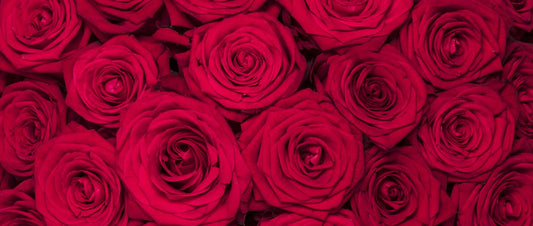 Florever