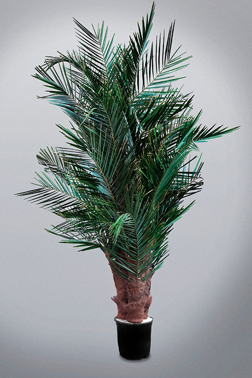 Palma stabilizzata Urban Jungle Floritecture con chioma verde folta e slanciata